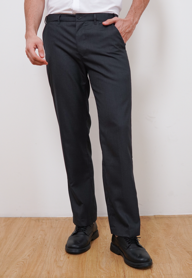 Versatile Gray Regular Fit Pants with Active Waist for Men