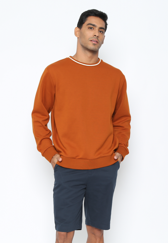 Men's Brick Brown Long Sleeve Sweater